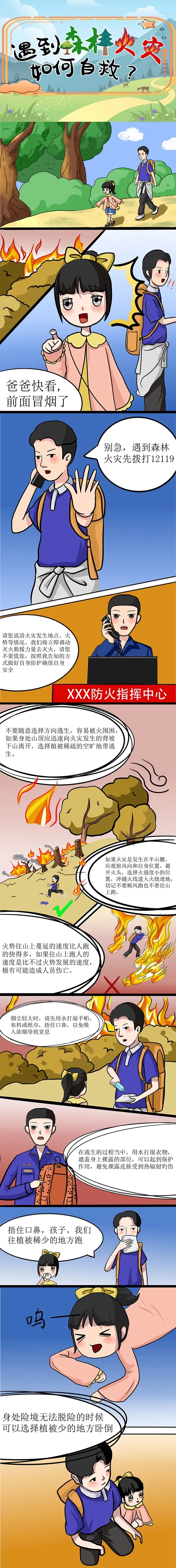 遇到森林火灾，如何自救？